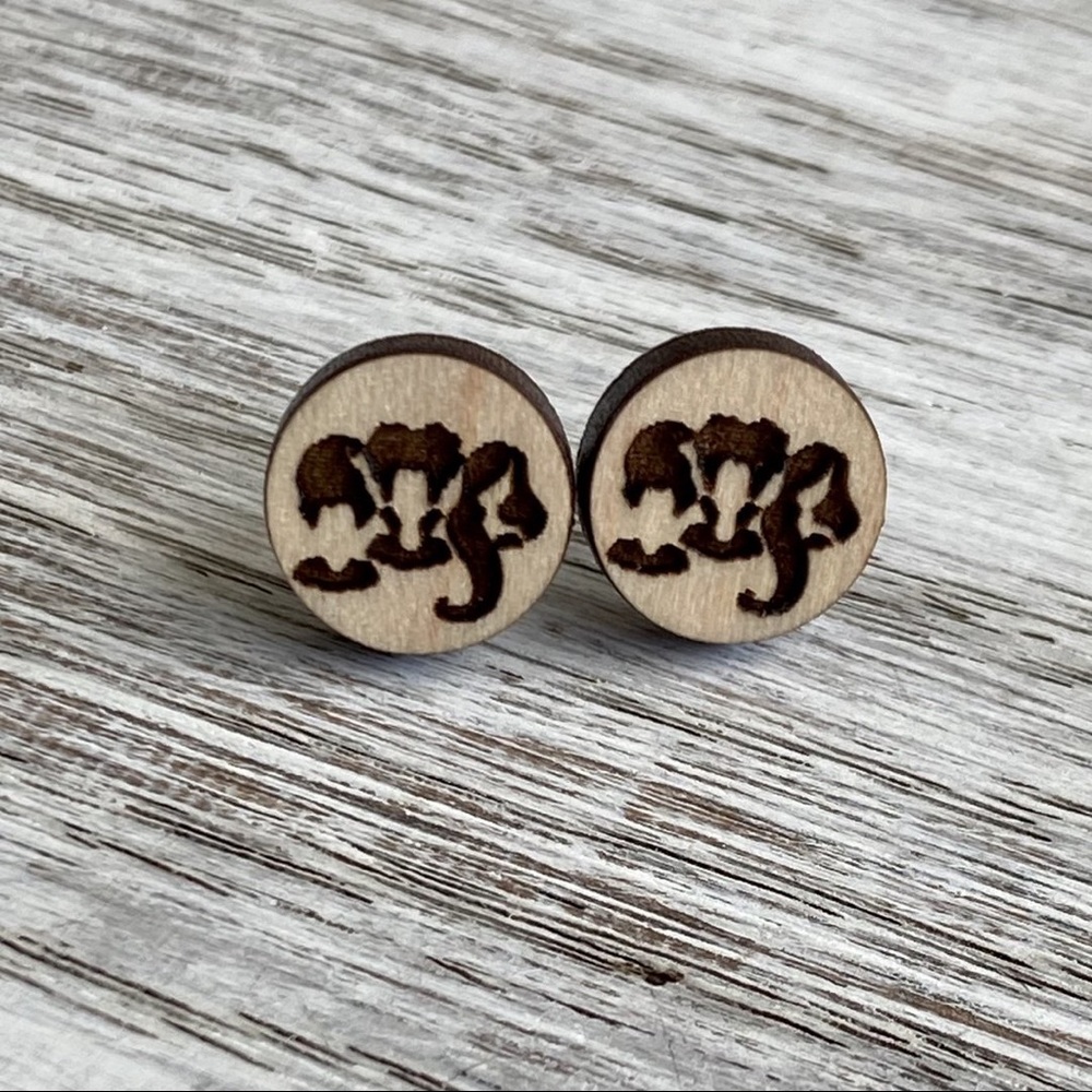 Hocus pocus- Sanderson sisters stud earrings